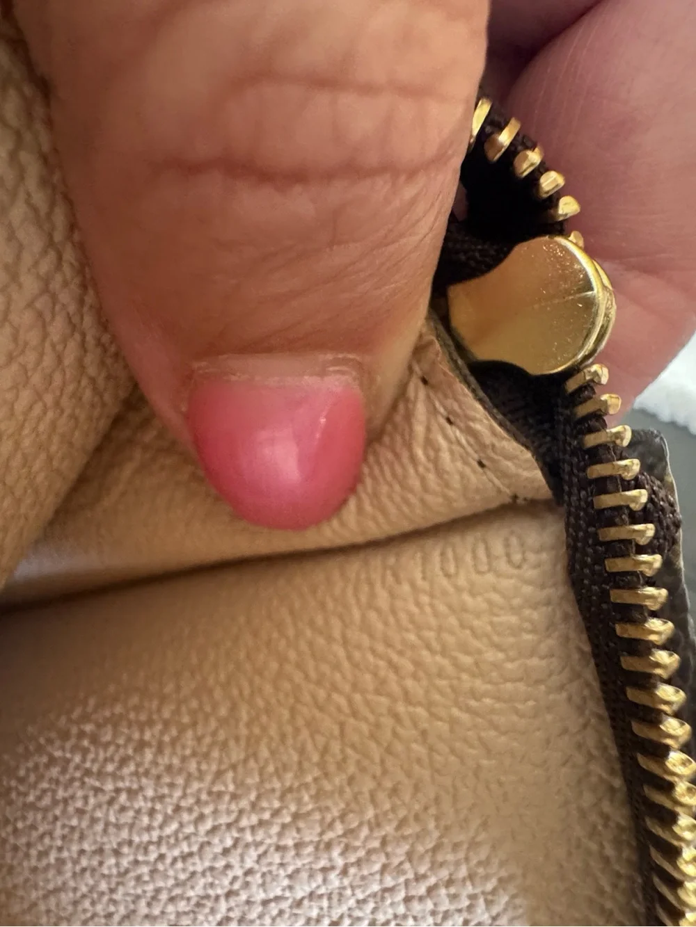 Louis Vuitton Monogram Accessory Pouch (With Original Gold Chain)